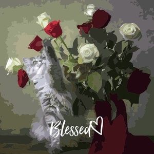 Meet your Posher, Gore